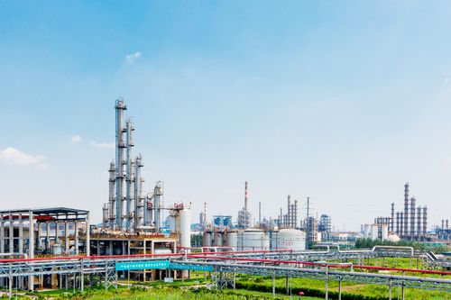 公司概況——化工行業(yè)領(lǐng)航者